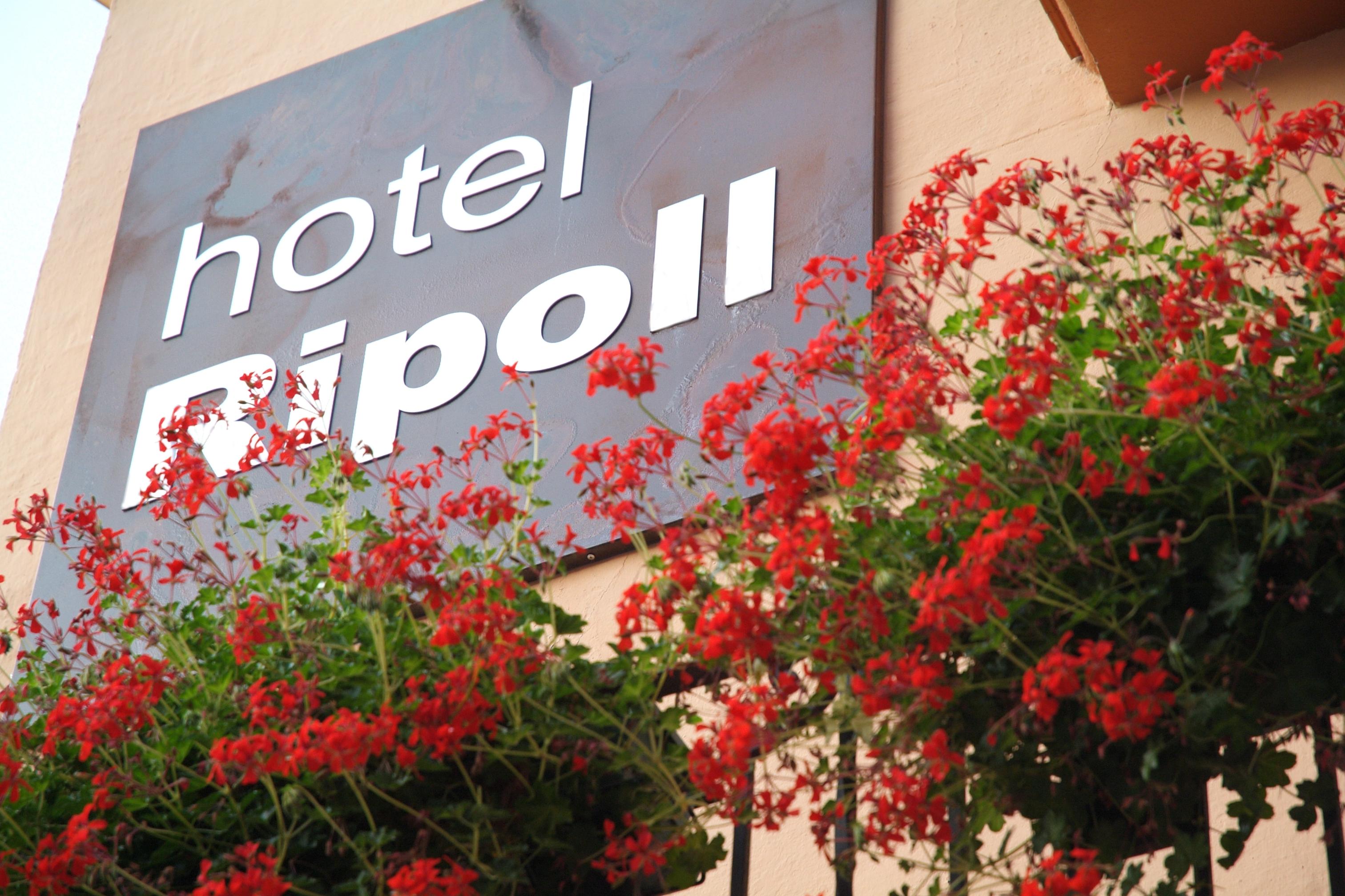 Hotel Ripoll Sant Hilari Sacalm Esterno foto