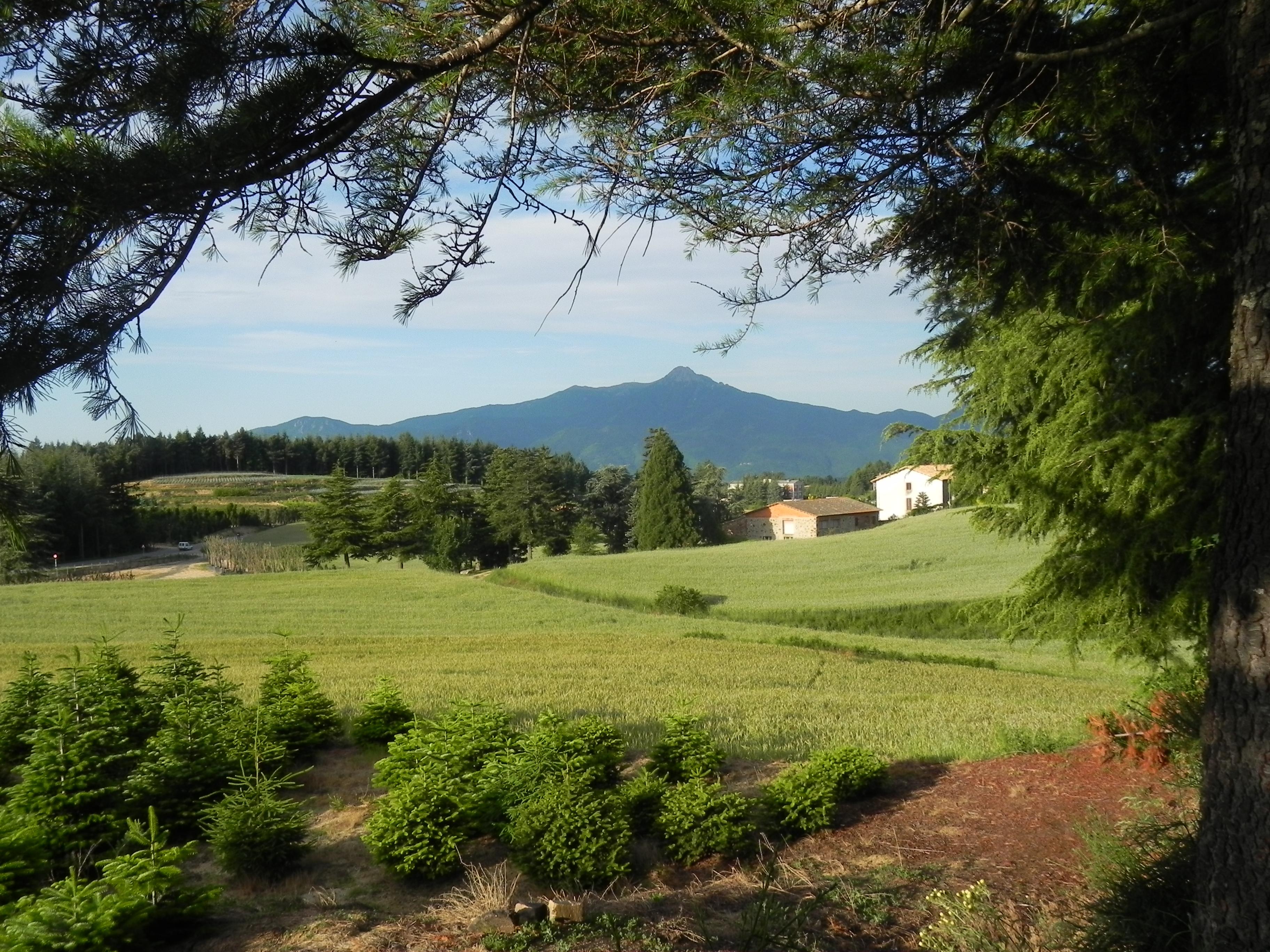 Hotel Ripoll Sant Hilari Sacalm Esterno foto