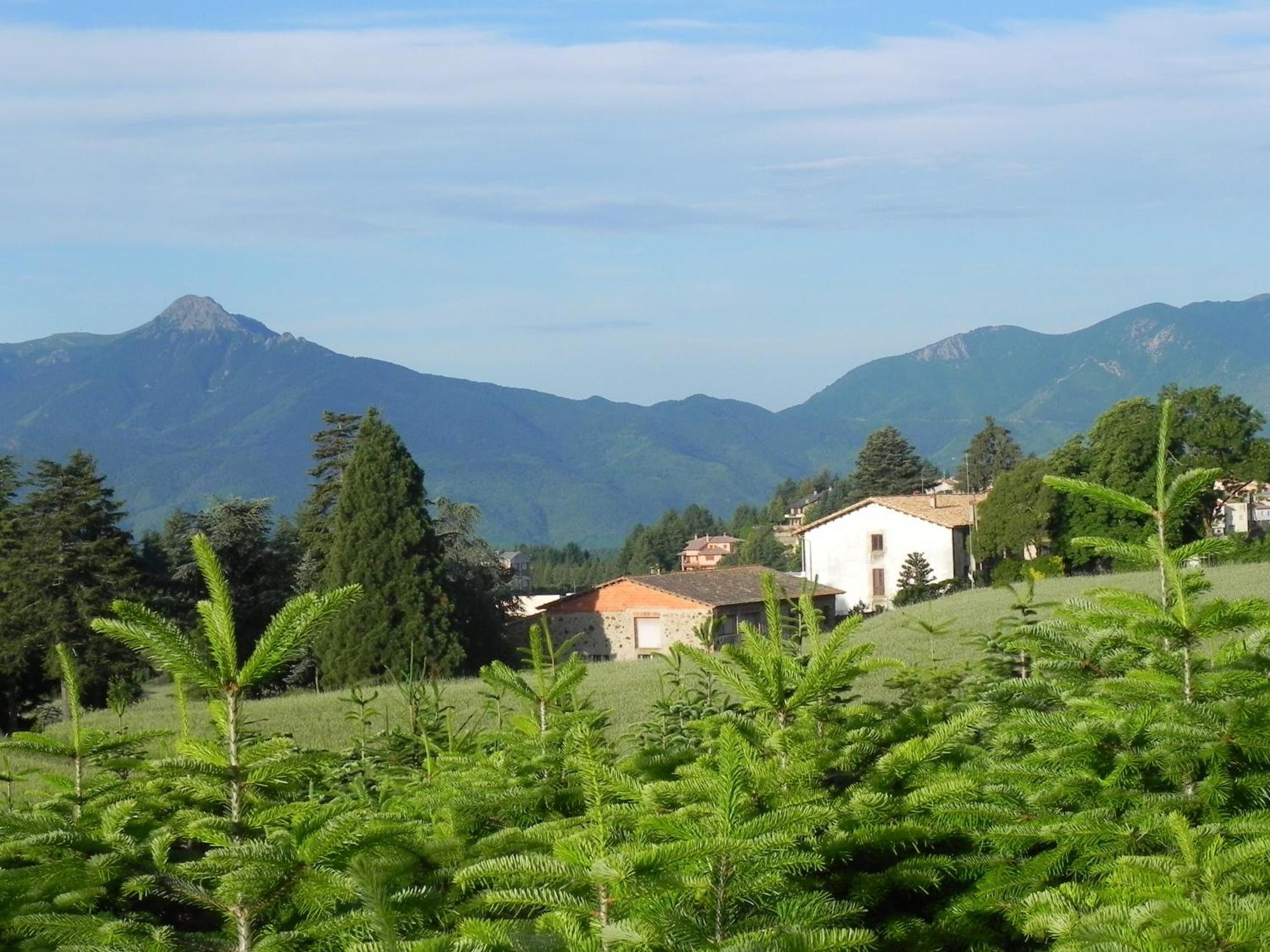 Hotel Ripoll Sant Hilari Sacalm Esterno foto
